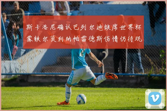 斯卡洛尼确认巴列尔迪缺席世界杯蒙铁尔莫利纳帕雷德斯伤情仍待观察
